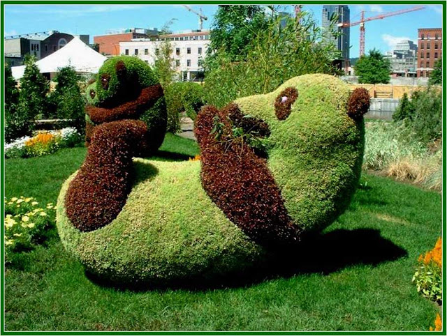 Image result for topiary john brooker